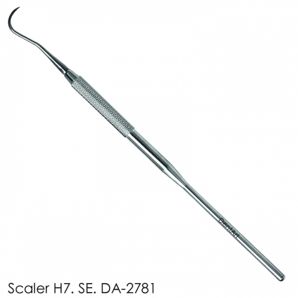 Scaler